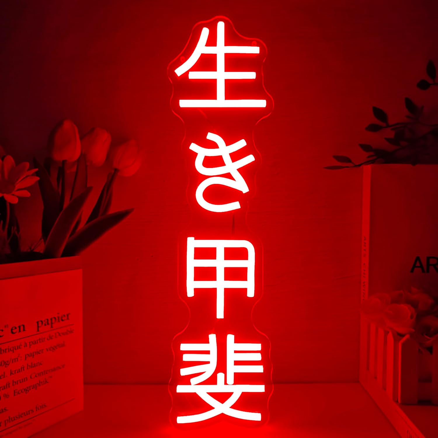 Wall Decor Lighting - Japanese Birthday Ikigai Neon Sign USB