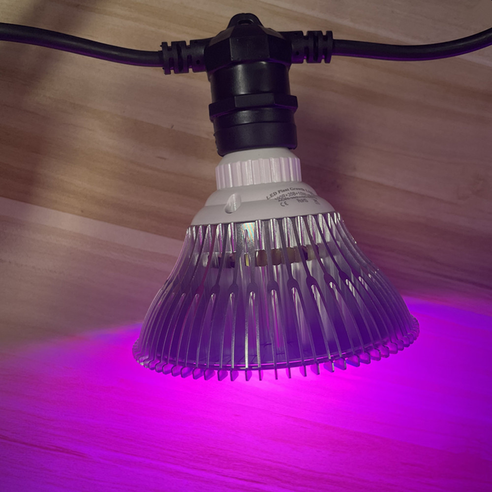 10M Cable LED String Commercia - Yard Lighting Decor 리뷰 및 가격