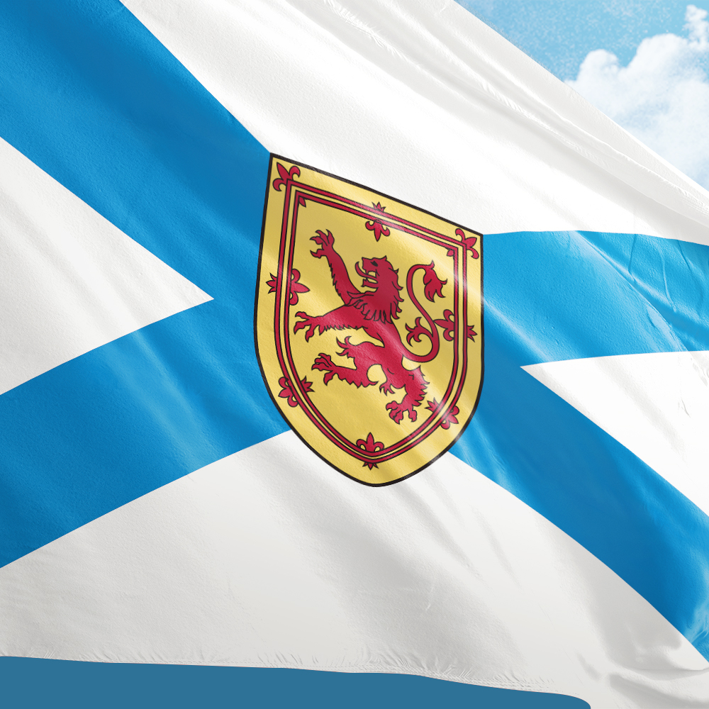Canada Flag of Nova Scotia 3ft - Nova Decor & Lighting Vase Glass Brun 26Cm 리뷰 및 가격